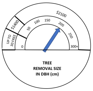 Tree removal size