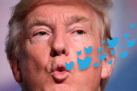 Trump + tweets