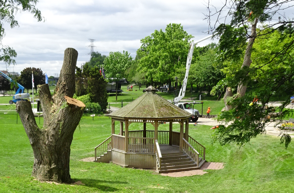 Willow - gazebo to the left