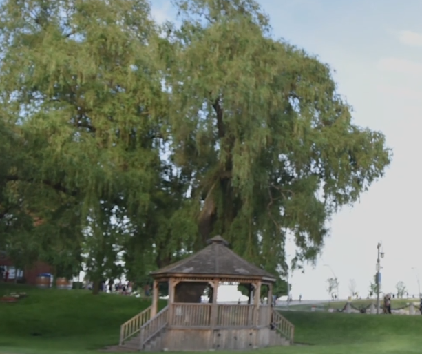 Willows + gazebo