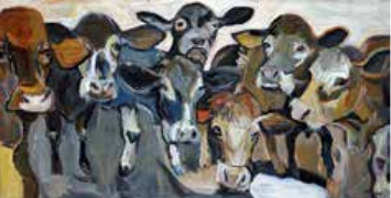 Ykema - cows in a row