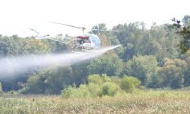 aerial spraying gypsy moth