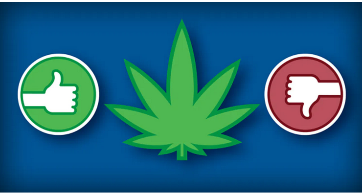 cannabis yes no logo