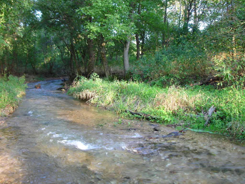 creek swift water
