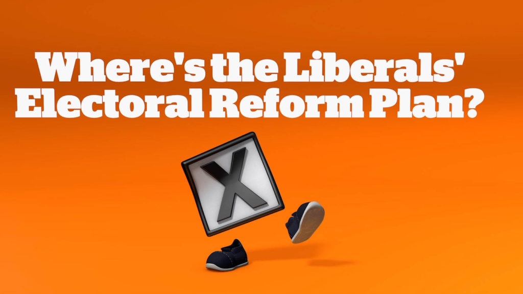 electoral_reform-graphic