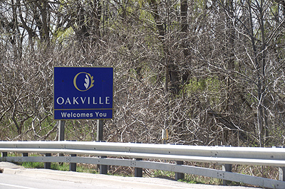 oakville-tree-removal