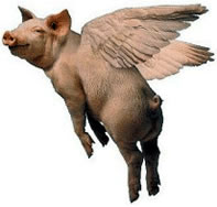 pigs-might-fly