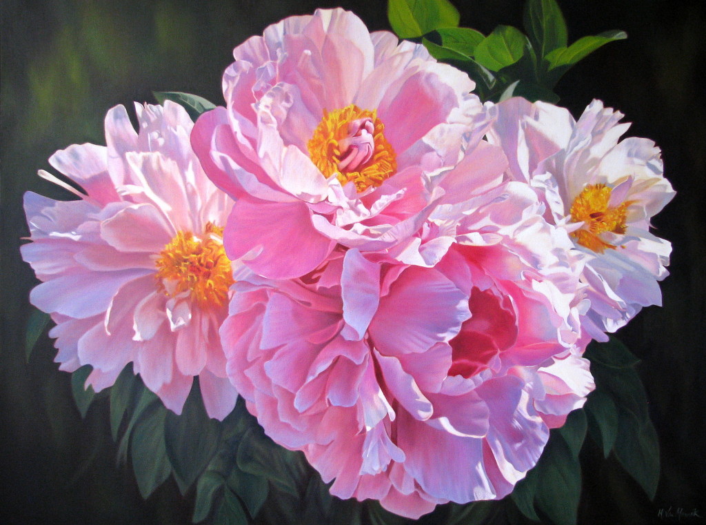 pink peonies