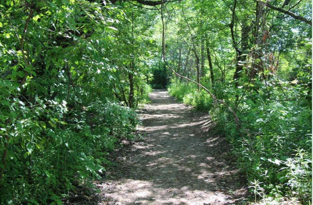 quiet trail -Wind Beach area