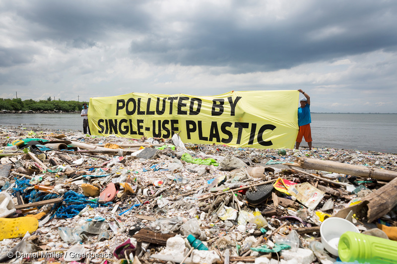 Greenpeace together with the #breakfreefromplastic coalition conduct a beach cleanup activity and brand audit on Freedom Island, Parañaque City, Metro Manila, Philippines. The activity aims to name the brands most responsible for the plastic pollution happening in our oceans. A banner reads "Polluted by Single-use Plastic". Freedom island is an ecotourism area which contains a mangrove forest and swamps providing a habitat for many migratory bird species from different countries such as China, Japan and Siberia.